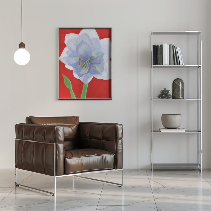 Vit Amaryllis - Stretched Canvas, Poster or Fine Art Print - I Heart Wall Art - Poster Print, Canvas Print or Framed Art Print