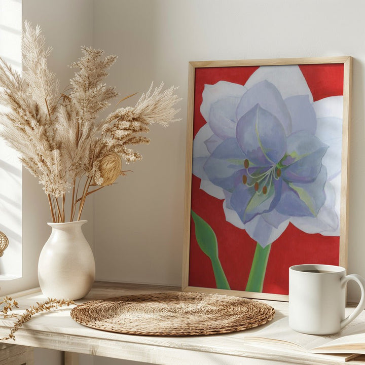 Vit Amaryllis - Stretched Canvas, Poster or Fine Art Print - I Heart Wall Art - Poster Print, Canvas Print or Framed Art Print