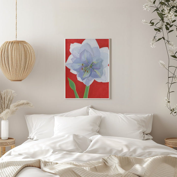 Vit Amaryllis - Stretched Canvas, Poster or Fine Art Print - I Heart Wall Art - Poster Print, Canvas Print or Framed Art Print