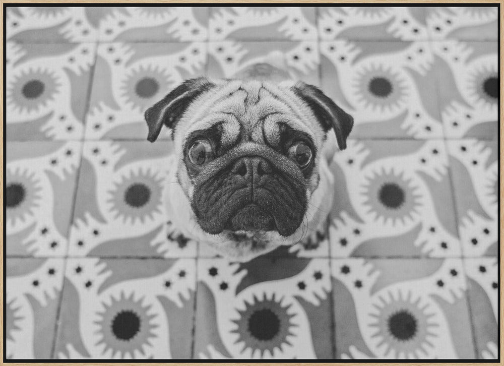 Vudú - Stretched Canvas, Poster or Fine Art Print I Heart Wall Art