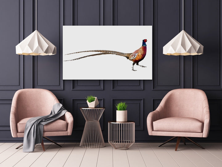 Wandering Pheasant - Framed Canvas Print Wall Art Print - I Heart Wall Art