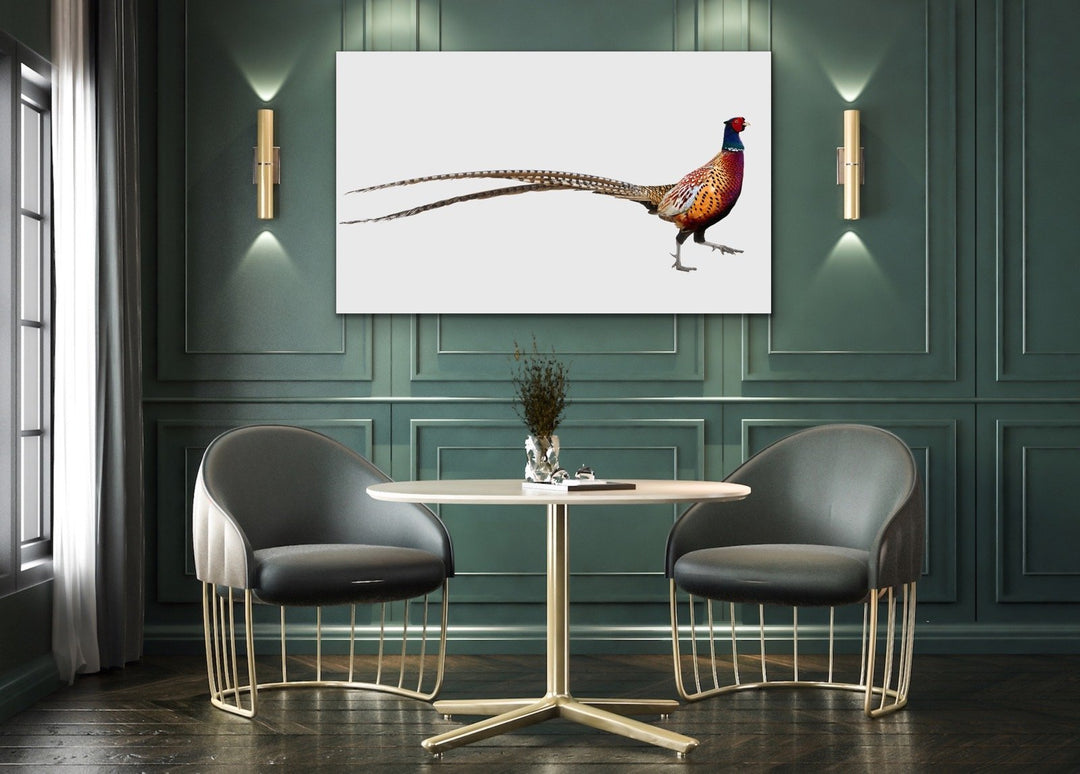 Wandering Pheasant - Framed Canvas Print Wall Art Print - I Heart Wall Art