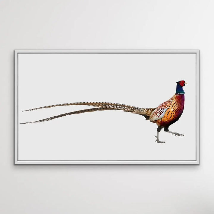 Wandering Pheasant - Framed Canvas Print Wall Art Print - I Heart Wall Art
