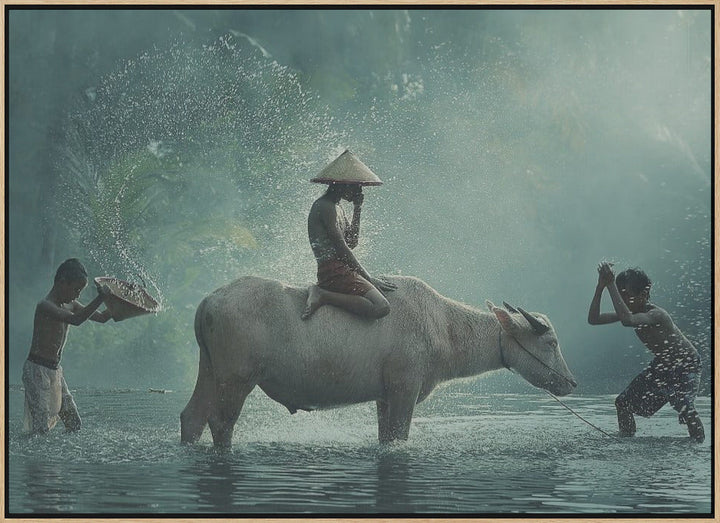 Water Buffalo - Stretched Canvas, Poster or Fine Art Print I Heart Wall Art
