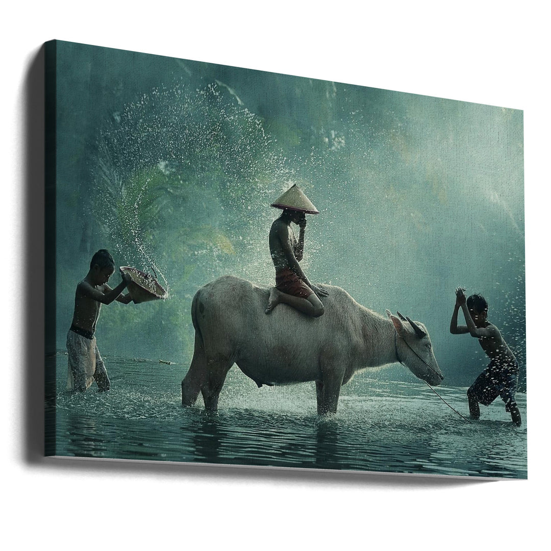 Water Buffalo - Stretched Canvas, Poster or Fine Art Print I Heart Wall Art