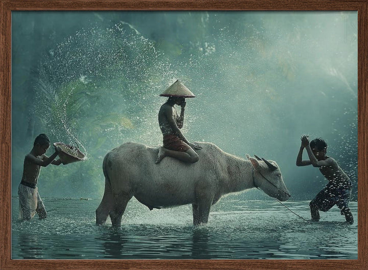 Water Buffalo - Stretched Canvas, Poster or Fine Art Print I Heart Wall Art