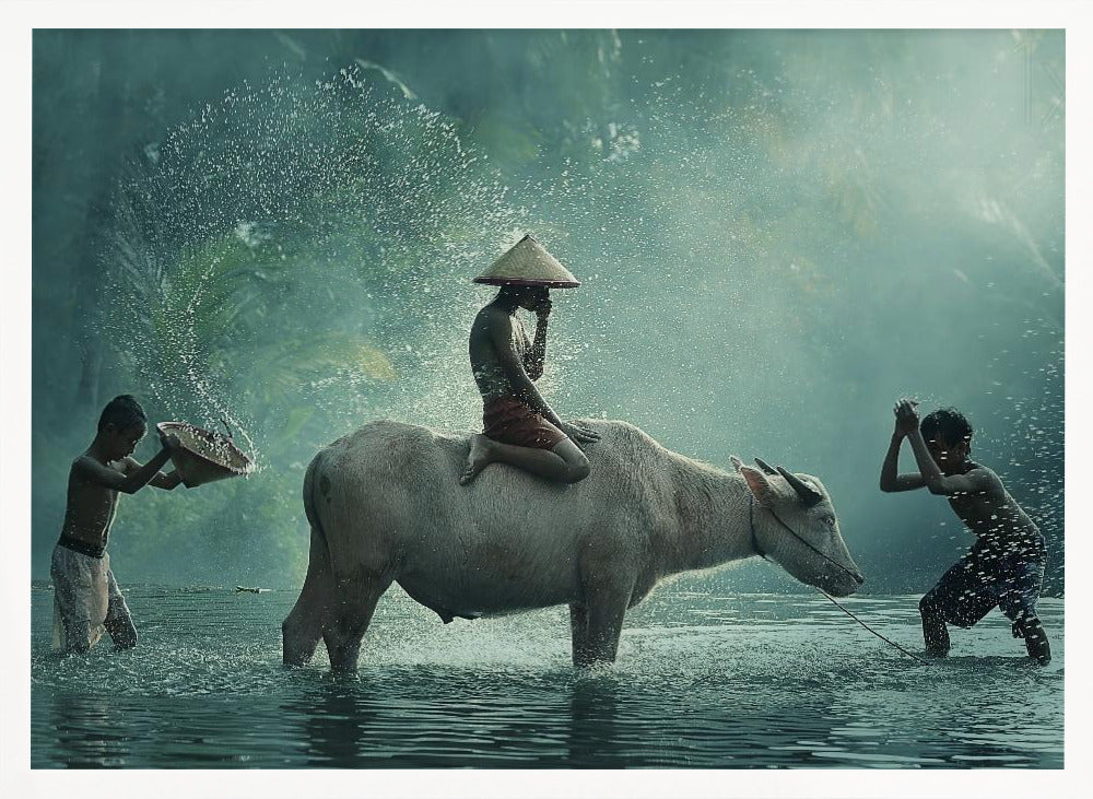 Water Buffalo - Stretched Canvas, Poster or Fine Art Print I Heart Wall Art