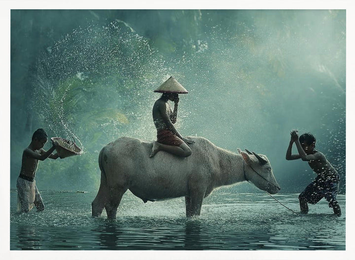 Water Buffalo - Stretched Canvas, Poster or Fine Art Print I Heart Wall Art