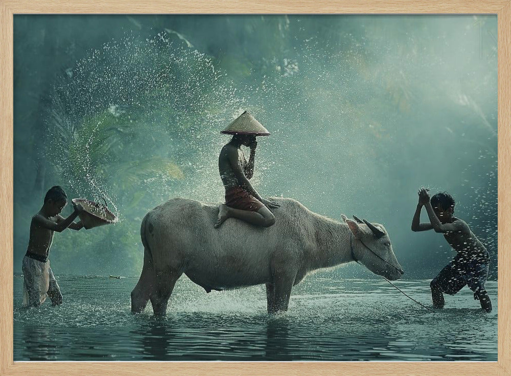 Water Buffalo - Stretched Canvas, Poster or Fine Art Print I Heart Wall Art