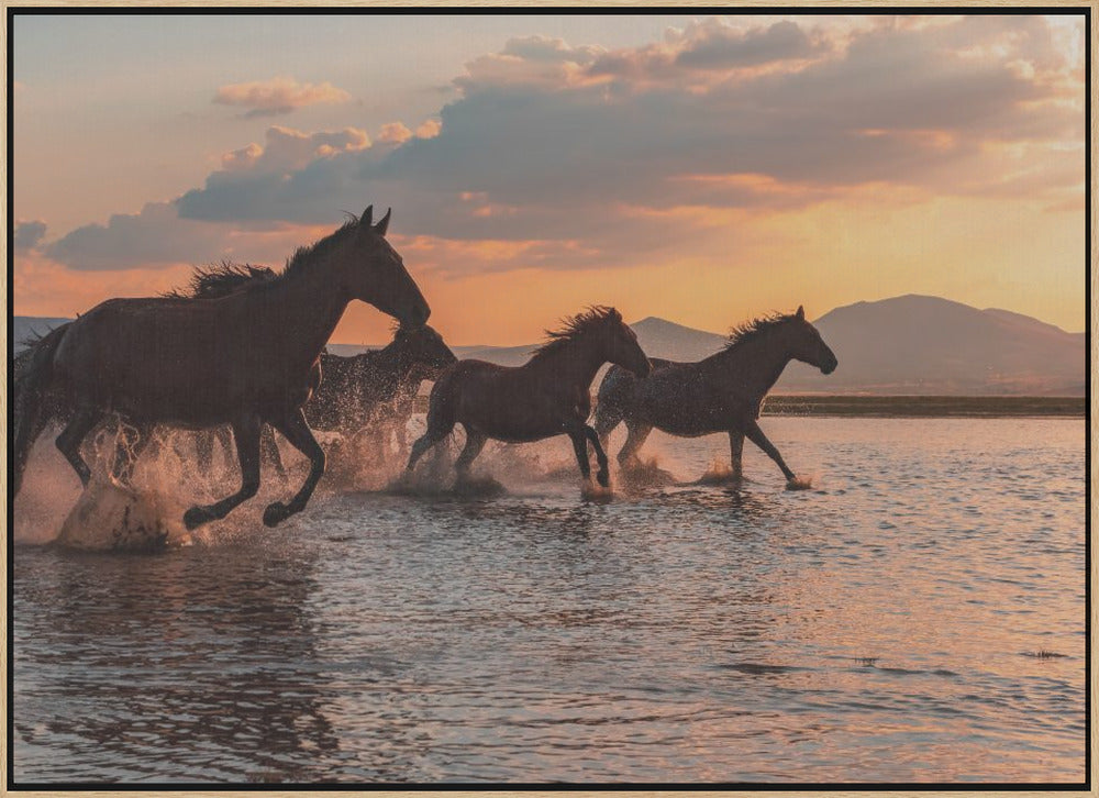 WATER HORSES - Stretched Canvas, Poster or Fine Art Print I Heart Wall Art