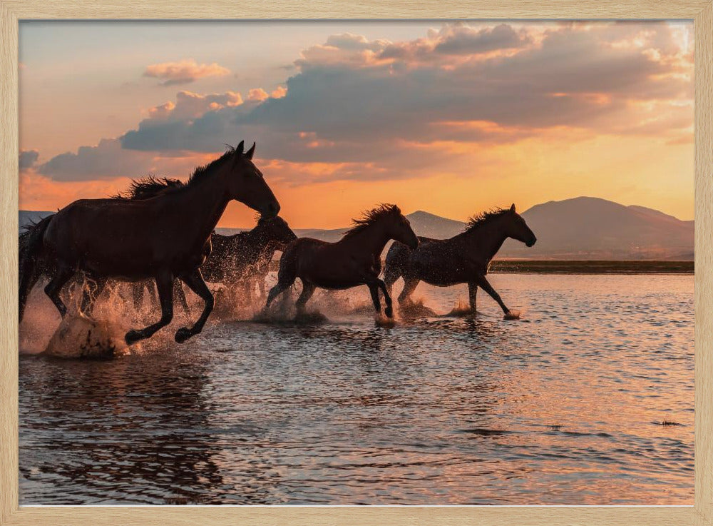 WATER HORSES - Stretched Canvas, Poster or Fine Art Print I Heart Wall Art