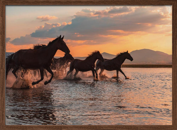 WATER HORSES - Stretched Canvas, Poster or Fine Art Print I Heart Wall Art