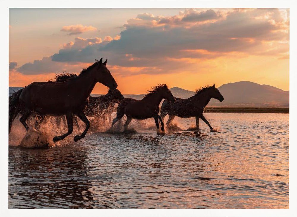 WATER HORSES - Stretched Canvas, Poster or Fine Art Print I Heart Wall Art