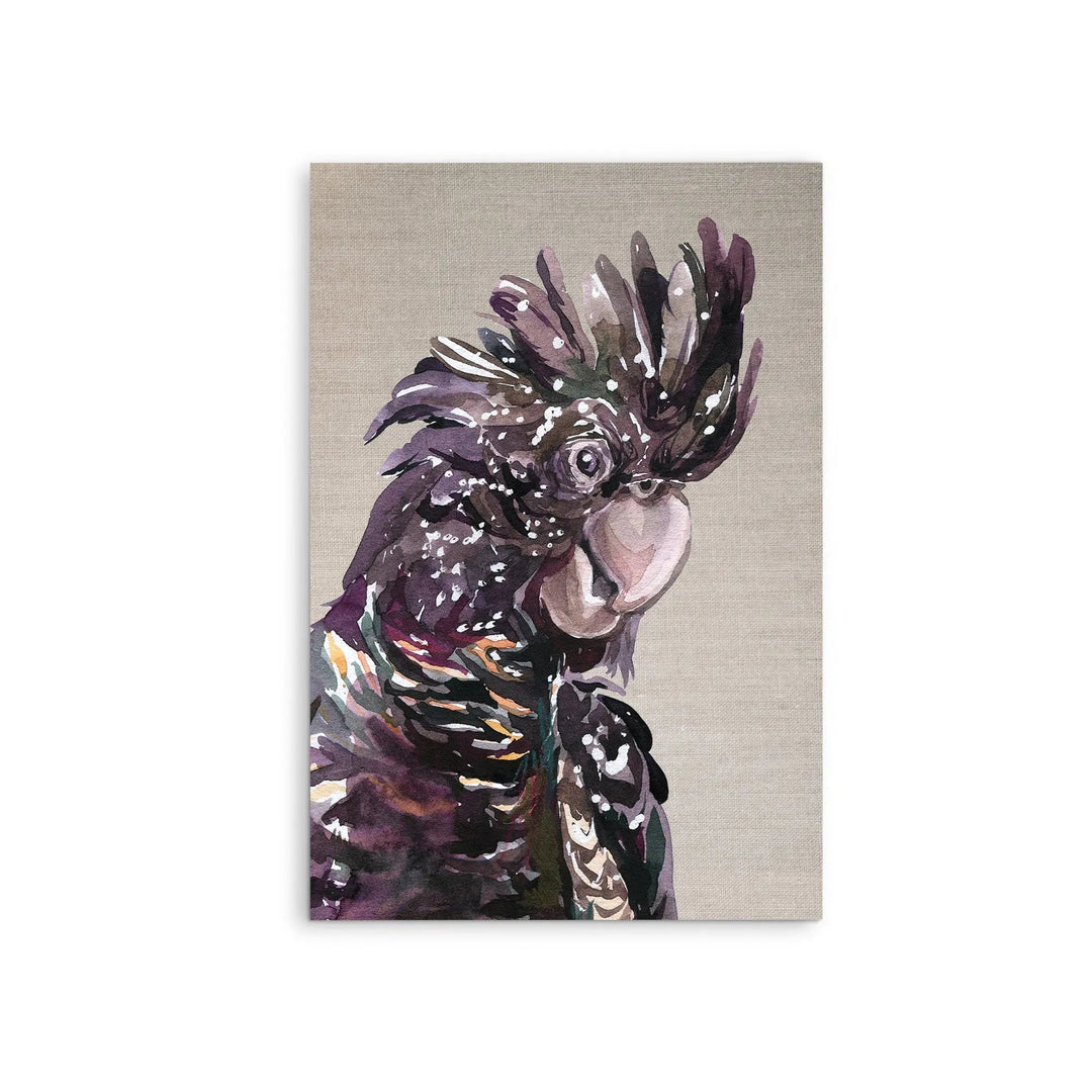 Watercolour black cockatoo with speckled plumage on textured linen canvas stretched or framed fine art print