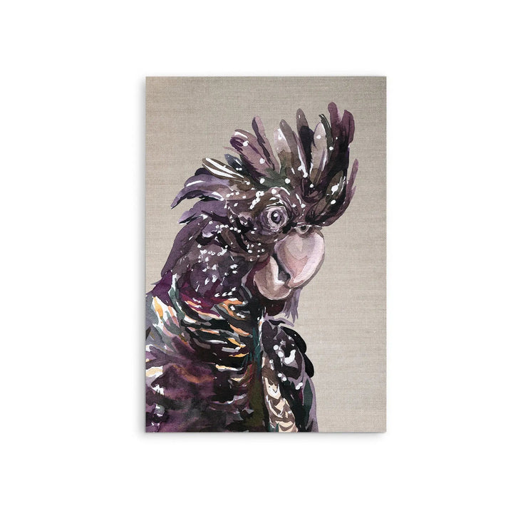 Watercolour black cockatoo with speckled plumage on textured linen canvas stretched or framed fine art print