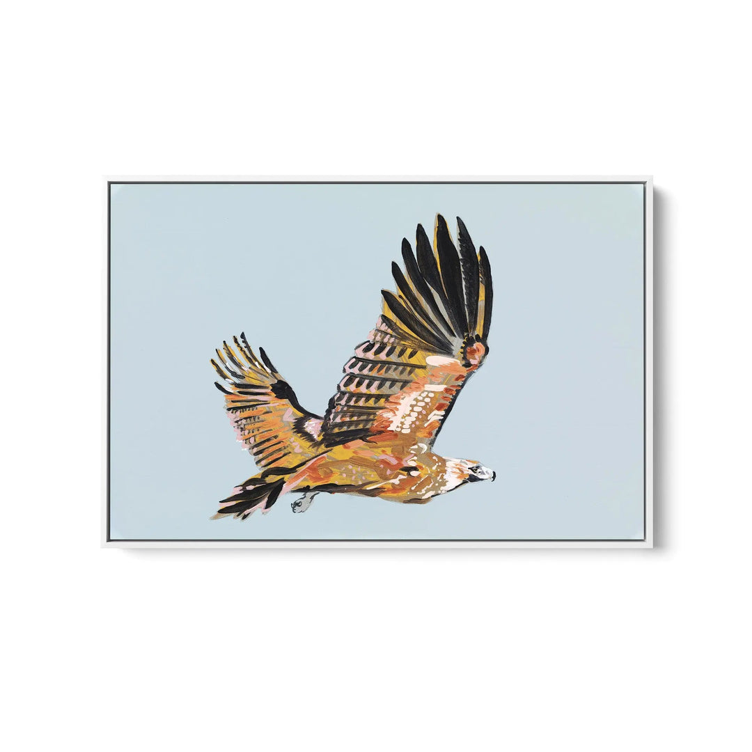 Wedge Tailed Eagle by Lucy Hawkins - Stretched Canvas Print or Framed Fine Art Print - Artwork I Heart Wall Art Australia 