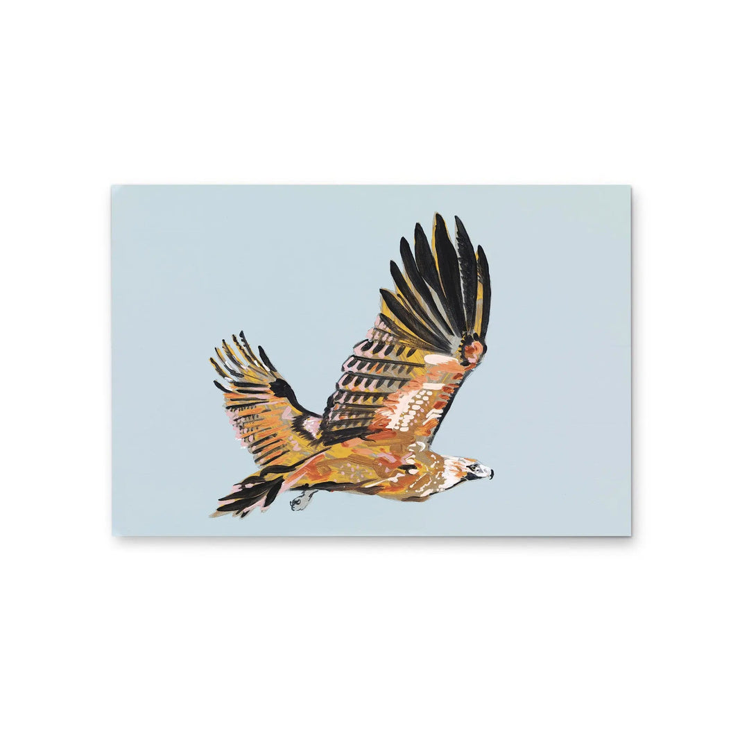Wedge Tailed Eagle by Lucy Hawkins - Stretched Canvas Print or Framed Fine Art Print - Artwork I Heart Wall Art Australia 