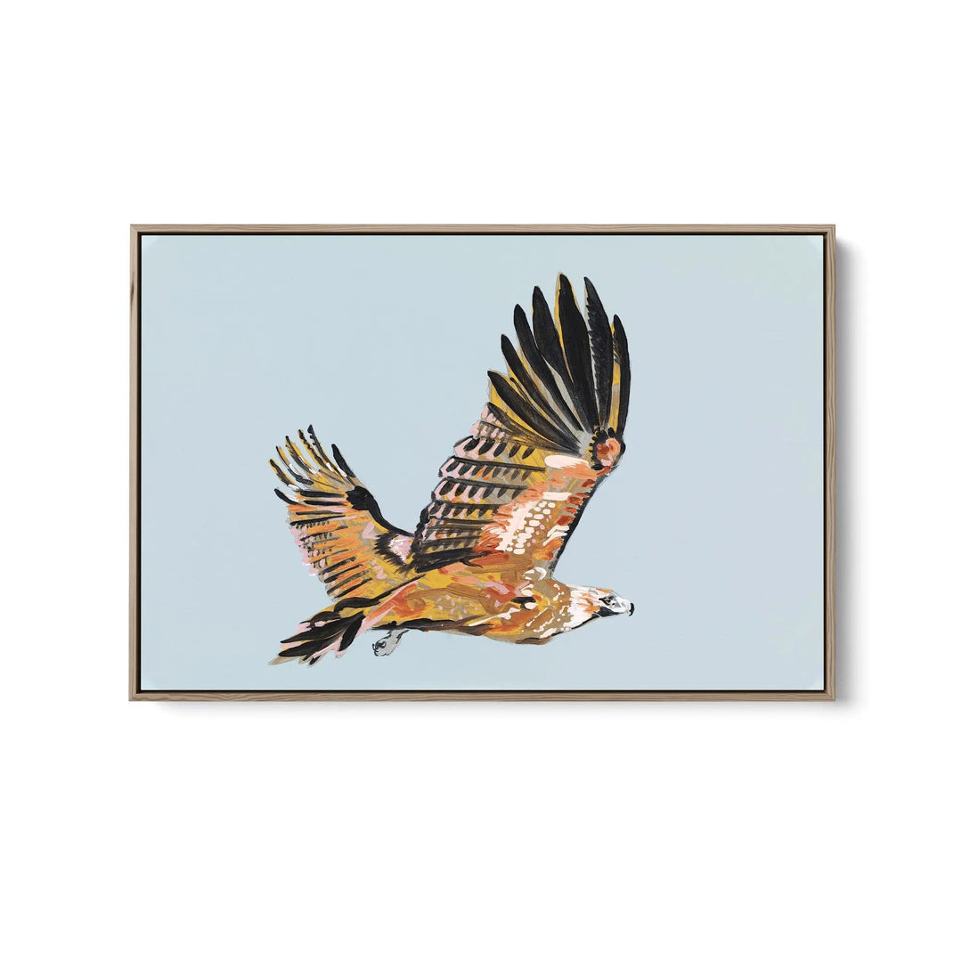 Wedge Tailed Eagle by Lucy Hawkins - Stretched Canvas Print or Framed Fine Art Print - Artwork I Heart Wall Art Australia 