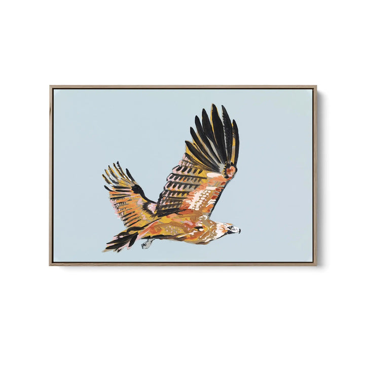 Wedge Tailed Eagle by Lucy Hawkins - Stretched Canvas Print or Framed Fine Art Print - Artwork I Heart Wall Art Australia 