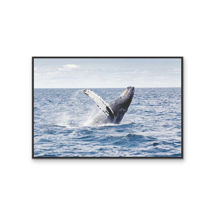 Whale Waving - Blue Ocean Nature Stretched Canvas, Wall Art Print I Heart Wall Art