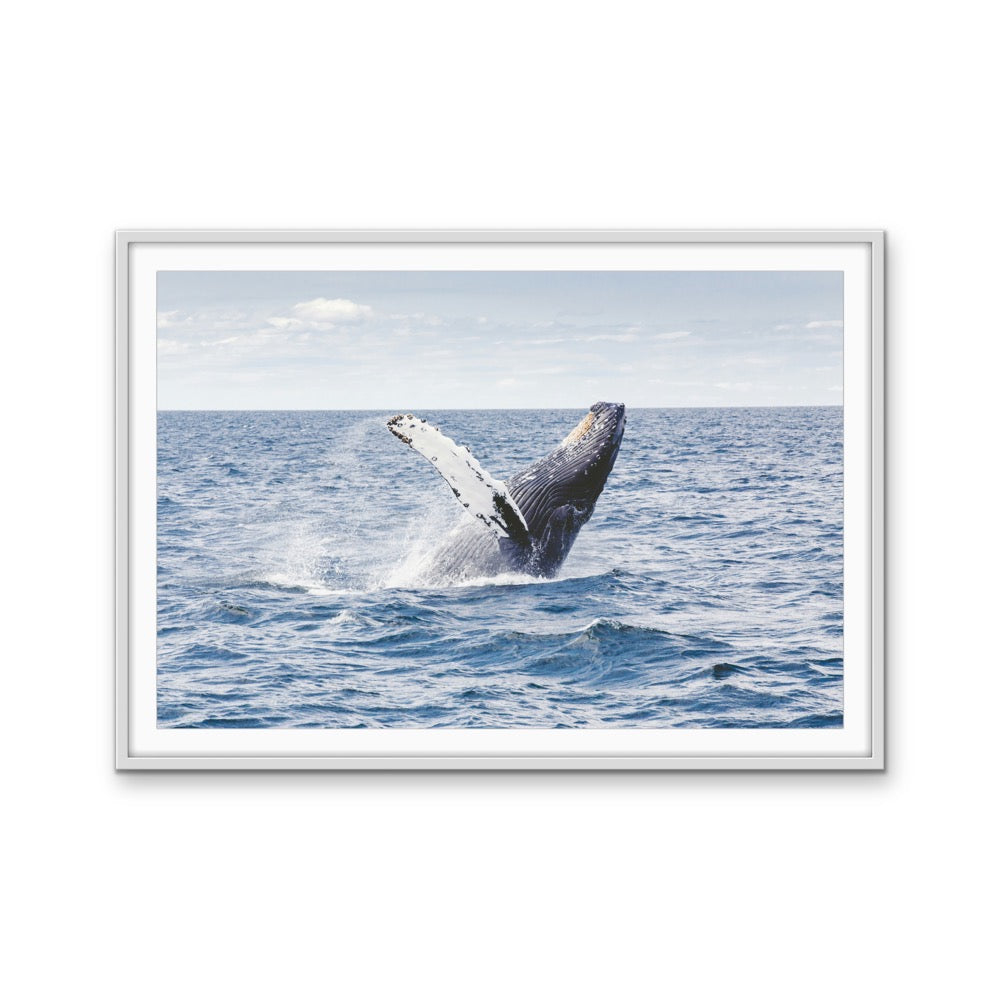 Whale Waving - Blue Ocean Nature Stretched Canvas, Wall Art Print I Heart Wall Art