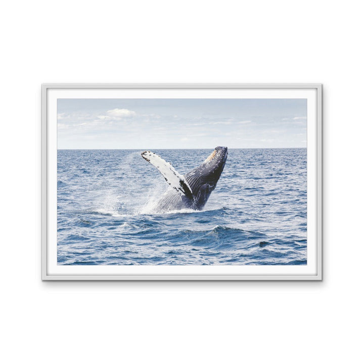 Whale Waving - Blue Ocean Nature Stretched Canvas, Wall Art Print I Heart Wall Art