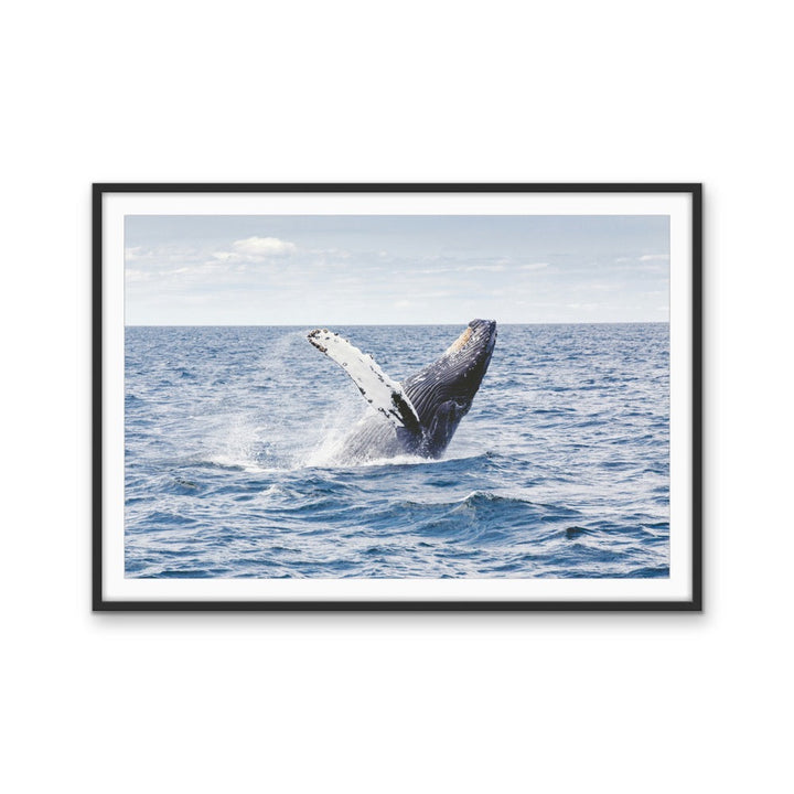 Whale Waving - Blue Ocean Nature Stretched Canvas, Wall Art Print I Heart Wall Art