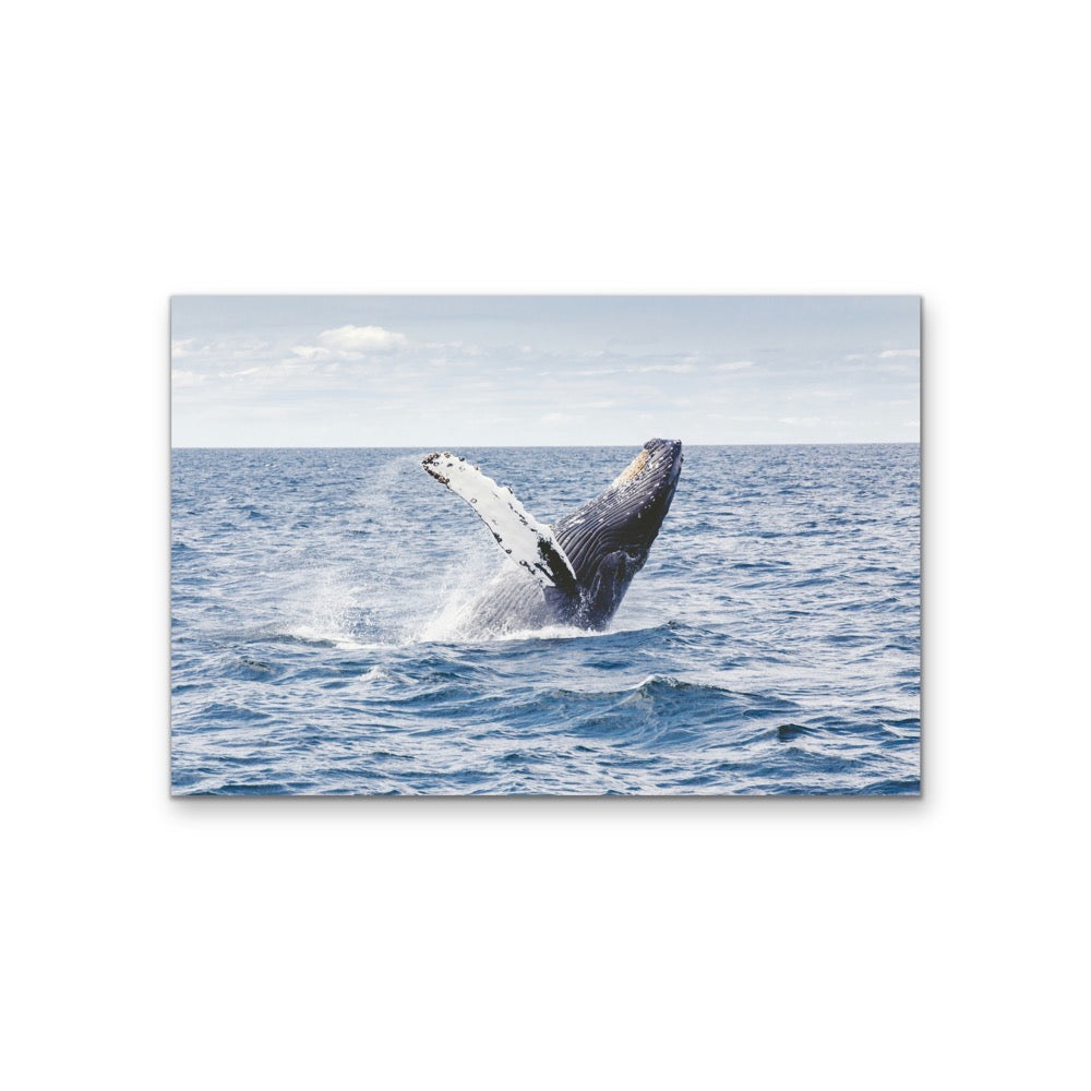Whale Waving - Blue Ocean Nature Stretched Canvas, Wall Art Print I Heart Wall Art
