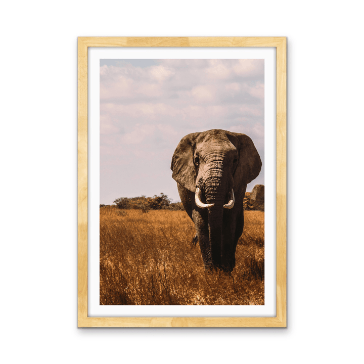 When in Africa - Elephant Safari Stretched Canvas or Wall Art Print - I Heart Wall Art - Poster Print, Canvas Print or Framed Art Print
