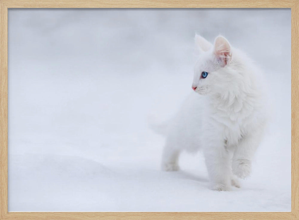 White as Snow - Stretched Canvas, Poster or Fine Art Print I Heart Wall Art