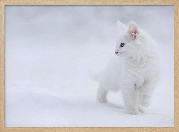 White as Snow - Stretched Canvas, Poster or Fine Art Print I Heart Wall Art
