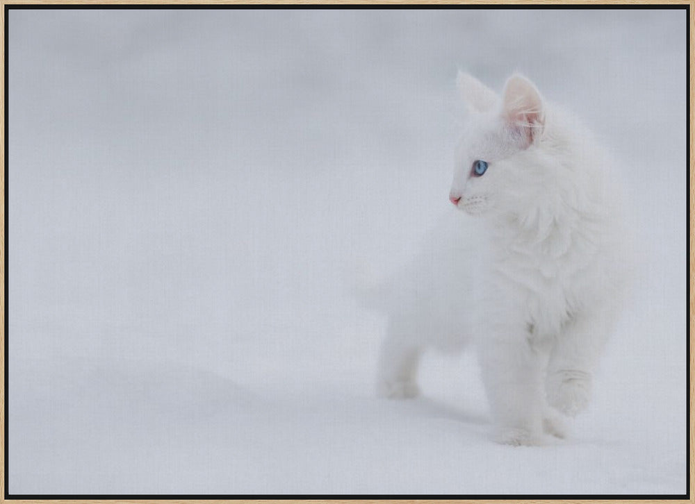 White as Snow - Stretched Canvas, Poster or Fine Art Print I Heart Wall Art