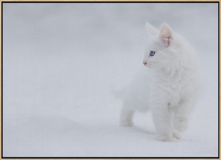 White as Snow - Stretched Canvas, Poster or Fine Art Print I Heart Wall Art