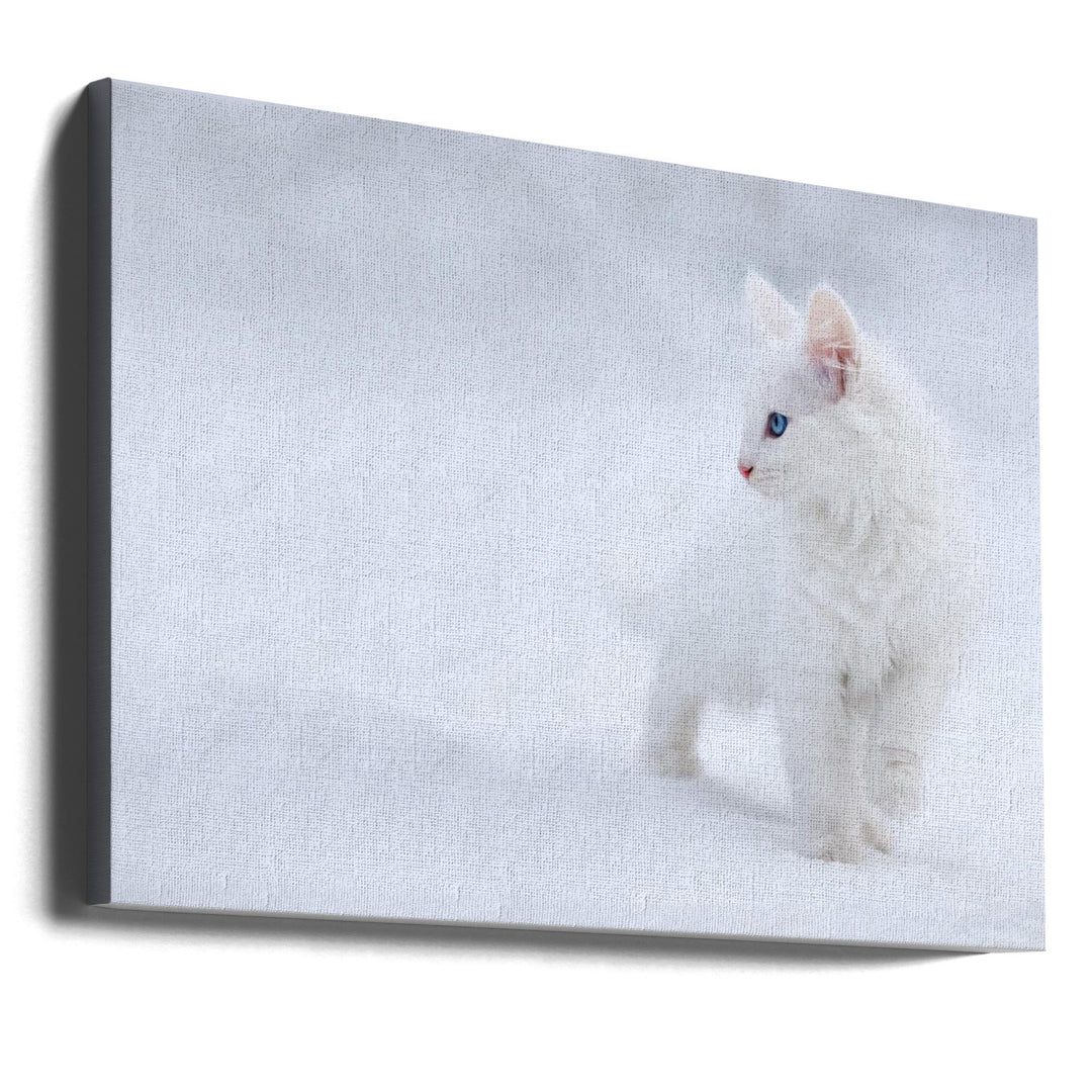 White as Snow - Stretched Canvas, Poster or Fine Art Print I Heart Wall Art