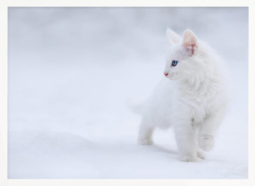 White as Snow - Stretched Canvas, Poster or Fine Art Print I Heart Wall Art