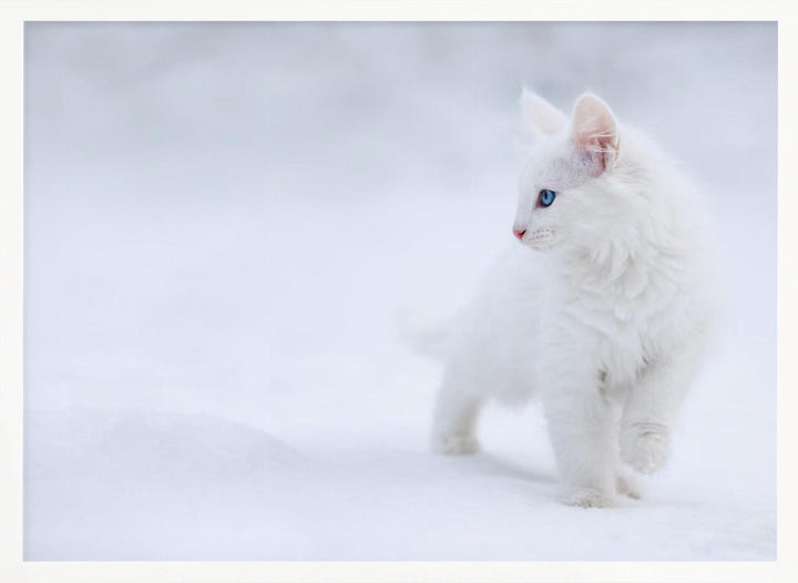 White as Snow - Stretched Canvas, Poster or Fine Art Print I Heart Wall Art