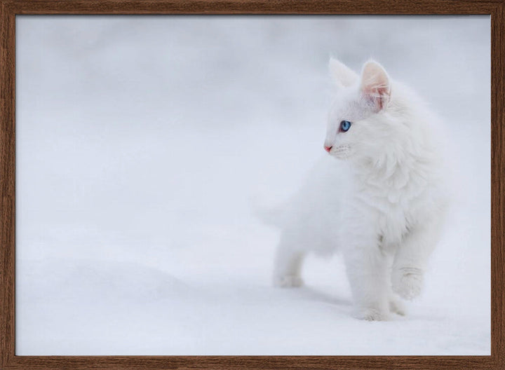 White as Snow - Stretched Canvas, Poster or Fine Art Print I Heart Wall Art