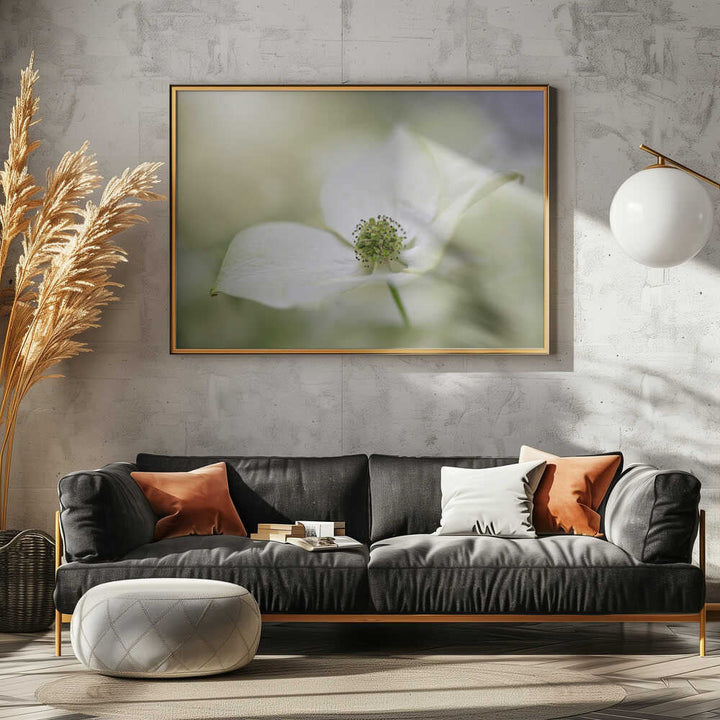 White Dogwood Bloom - Floral Photographic Stretched Canvas Poster or Fine Art Print