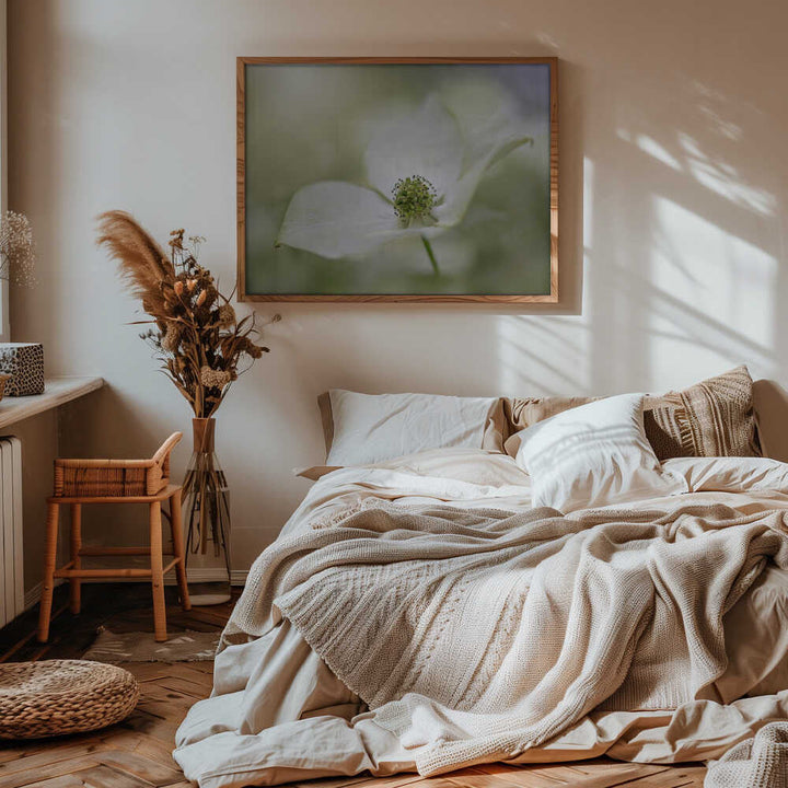 White Dogwood Bloom - Floral Photographic Stretched Canvas Poster or Fine Art Print