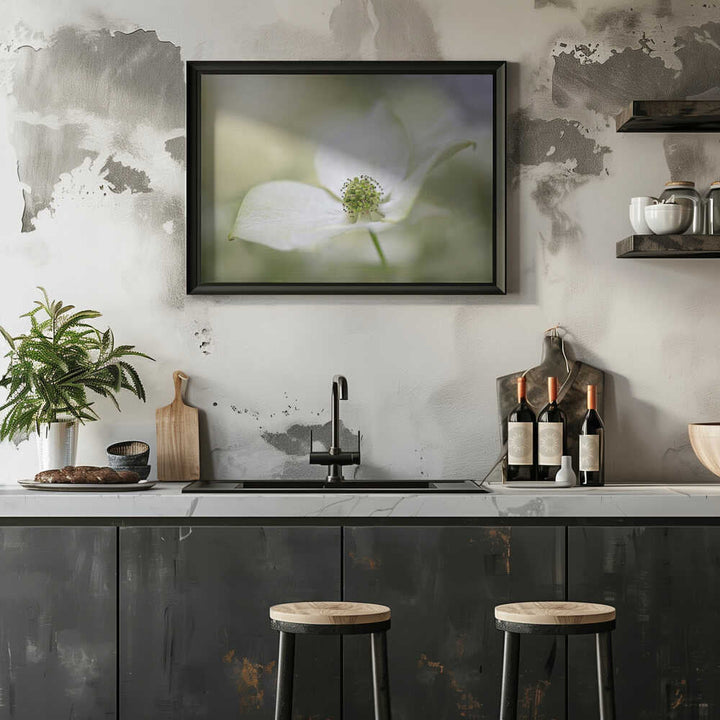 White Dogwood Bloom - Floral Photographic Stretched Canvas Poster or Fine Art Print