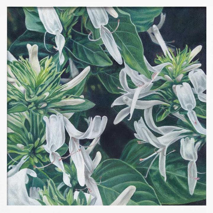 White Flowers By Viccy Wanliss - Square Stretched Canvas, Poster or Fine Art Print - I Heart Wall Art - Poster Print, Canvas Print or Framed Art Print