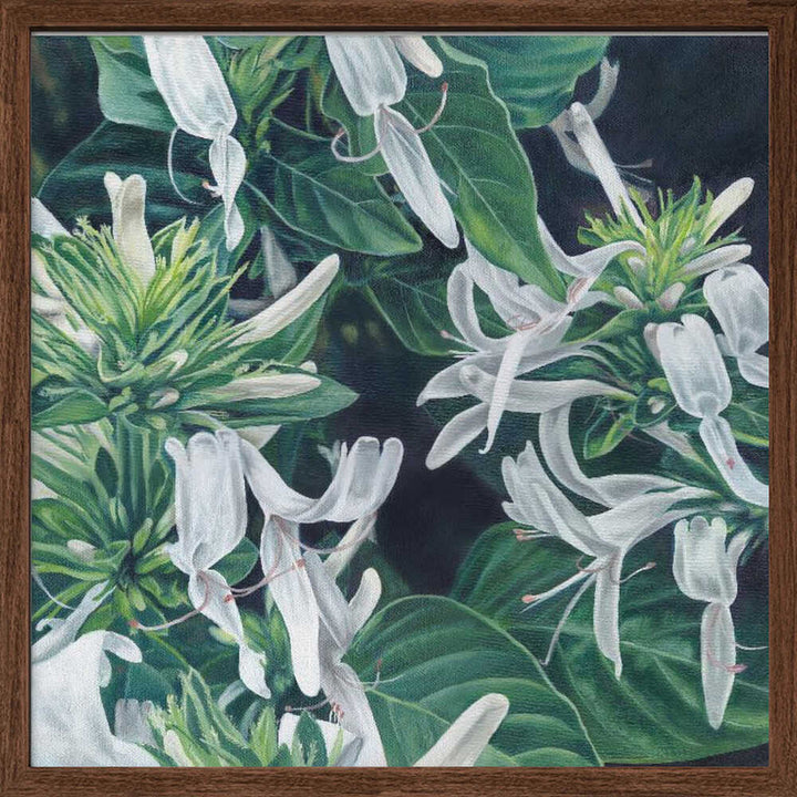 White Flowers By Viccy Wanliss - Square Stretched Canvas, Poster or Fine Art Print - I Heart Wall Art - Poster Print, Canvas Print or Framed Art Print