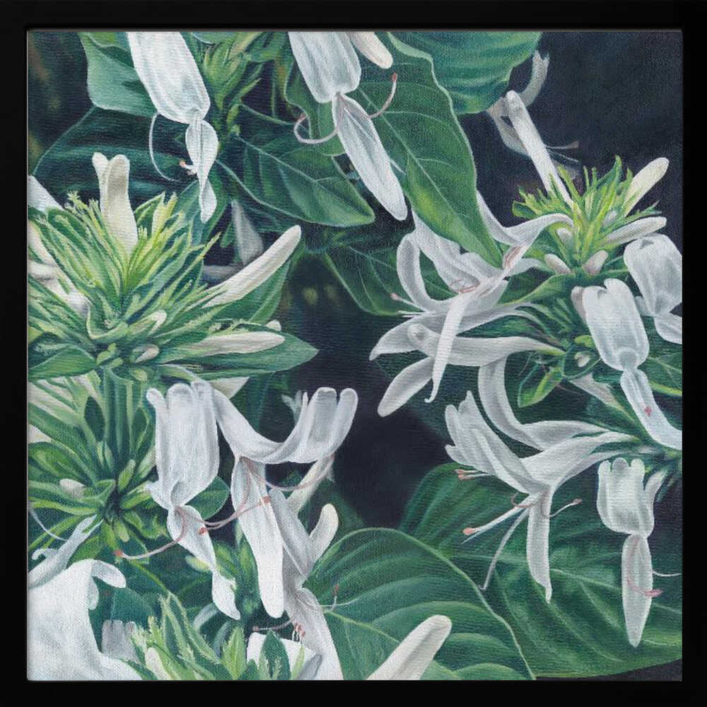 White Flowers By Viccy Wanliss - Square Stretched Canvas, Poster or Fine Art Print - I Heart Wall Art - Poster Print, Canvas Print or Framed Art Print