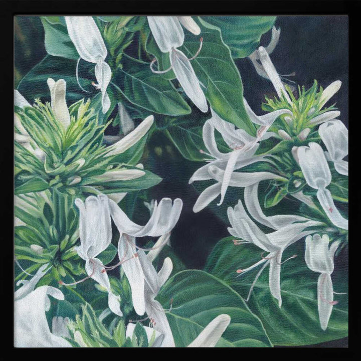 White Flowers By Viccy Wanliss - Square Stretched Canvas, Poster or Fine Art Print - I Heart Wall Art - Poster Print, Canvas Print or Framed Art Print