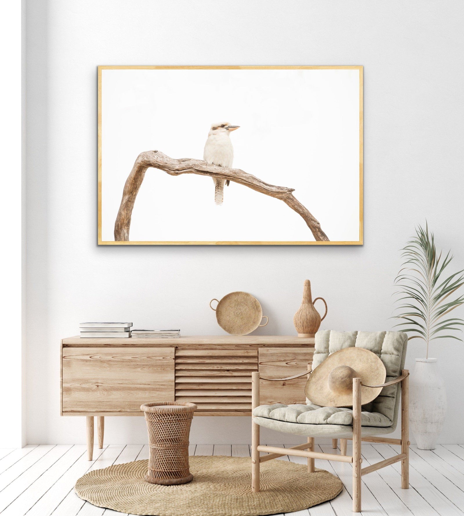 White Kookaburra - Photographic Art Print - I Heart Wall Art