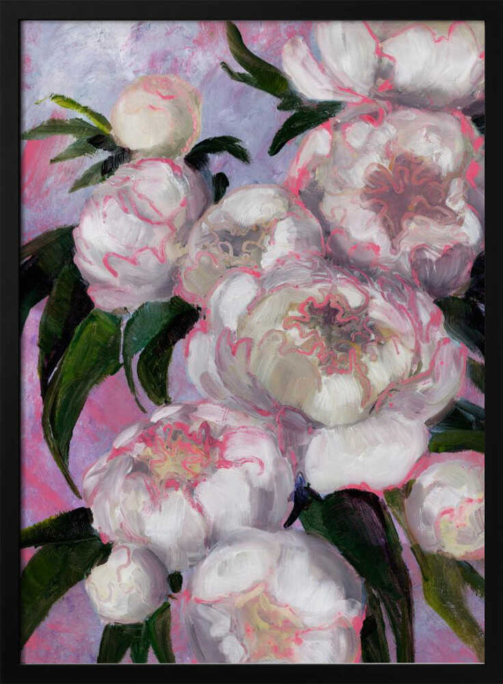 White Peonies With Pink Highlights - Stretched Canvas, Poster or Fine Art Print - I Heart Wall Art - Poster Print, Canvas Print or Framed Art Print