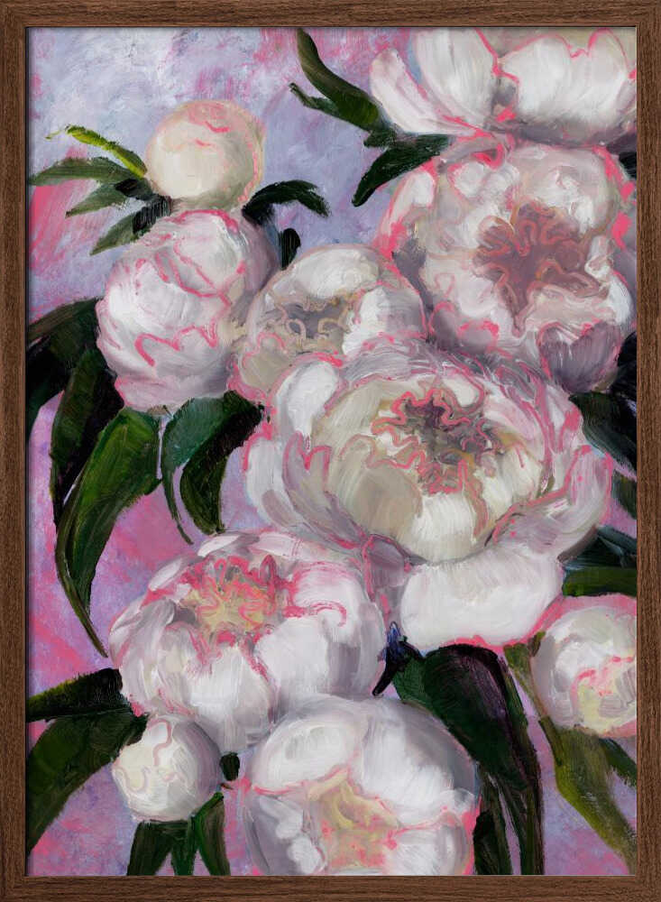 White Peonies With Pink Highlights - Stretched Canvas, Poster or Fine Art Print - I Heart Wall Art - Poster Print, Canvas Print or Framed Art Print