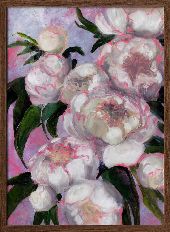 White Peonies With Pink Highlights - Stretched Canvas, Poster or Fine Art Print - I Heart Wall Art - Poster Print, Canvas Print or Framed Art Print