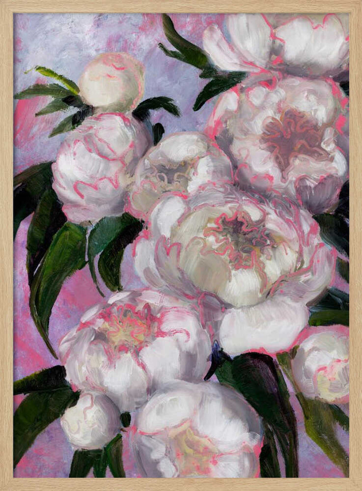 White Peonies With Pink Highlights - Stretched Canvas, Poster or Fine Art Print - I Heart Wall Art - Poster Print, Canvas Print or Framed Art Print