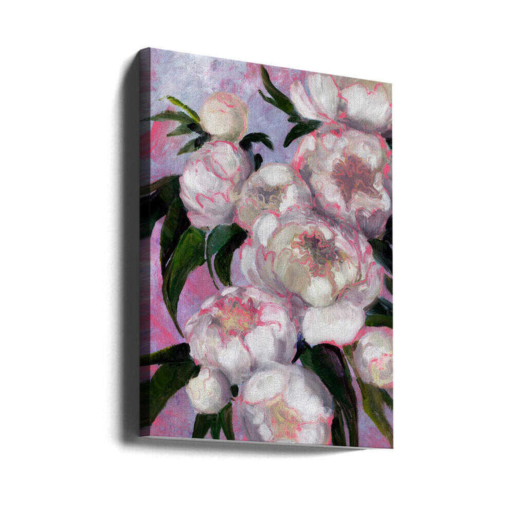 White Peonies With Pink Highlights - Stretched Canvas, Poster or Fine Art Print - I Heart Wall Art - Poster Print, Canvas Print or Framed Art Print